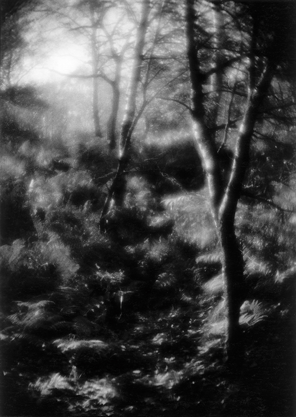 Swirl and diffused highlights created by using a plastic lens with no aperture