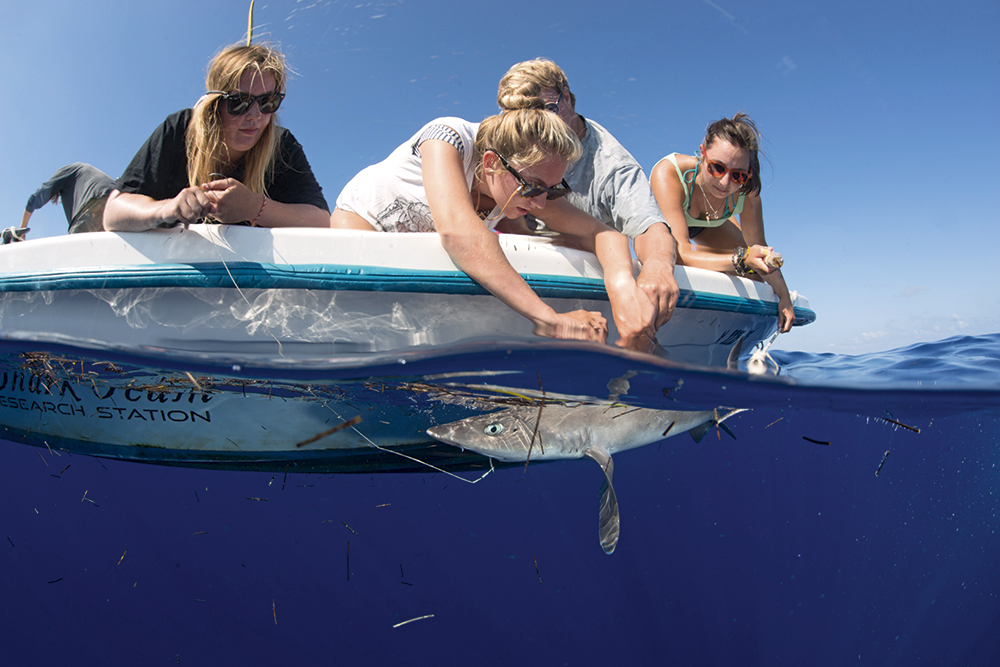 Charlotte Sams split-level photography boat