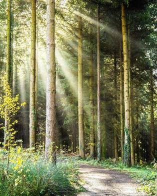 Credit: Kim Stone, North Devon