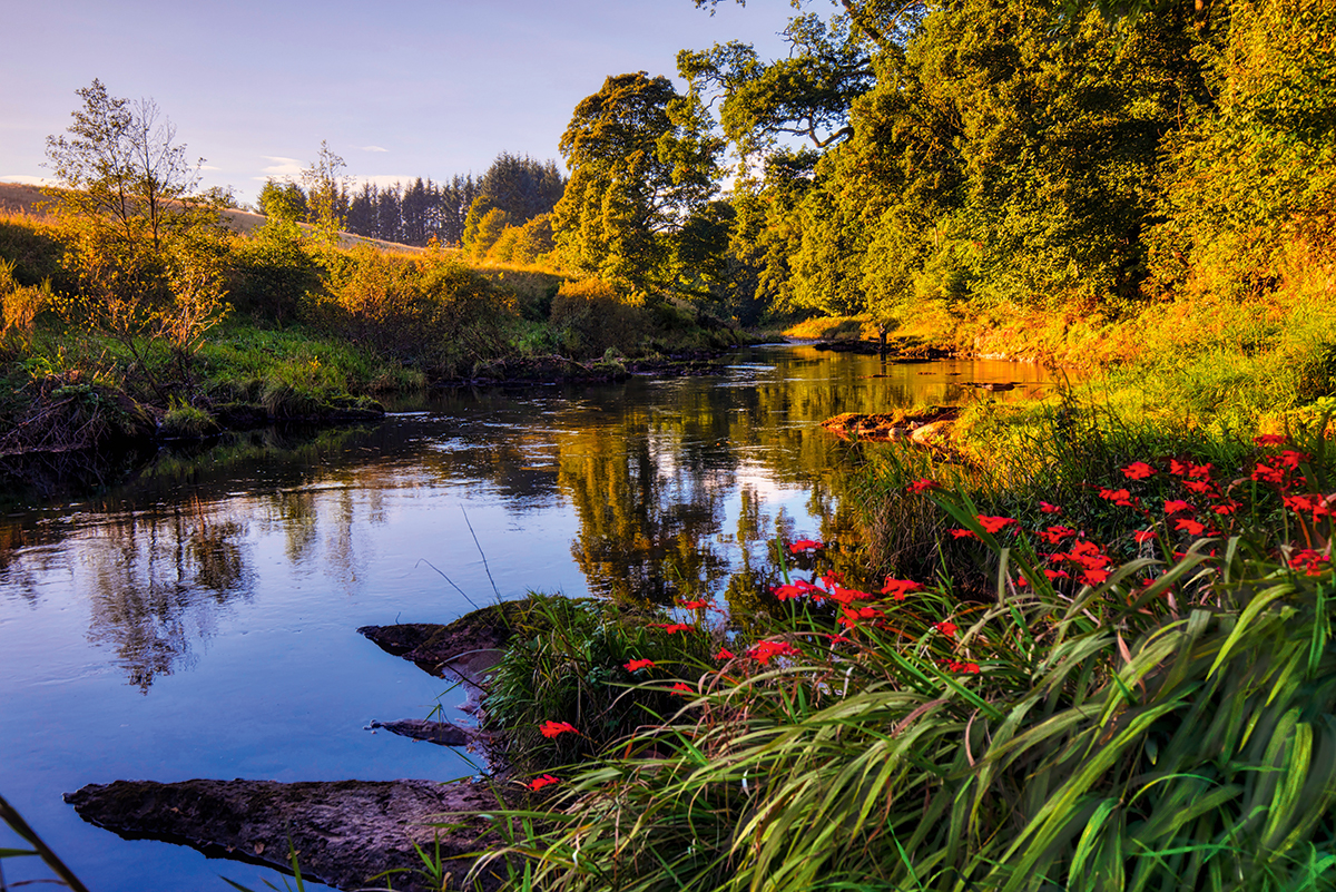 Even with a lot of tweaking, the bright yellow areas and red flowers in the foreground of the image are distracting