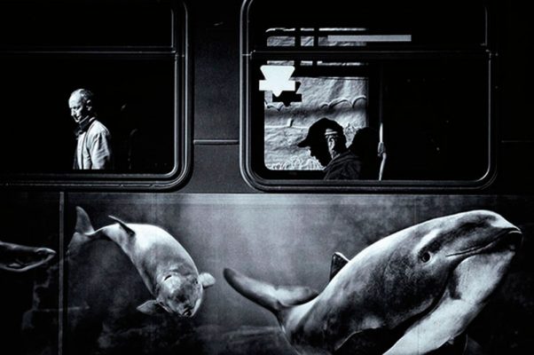 APOY 2016: Street Photography