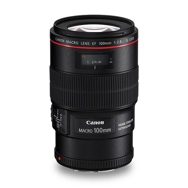EF 100mm f/2.8L IS Macro USM
