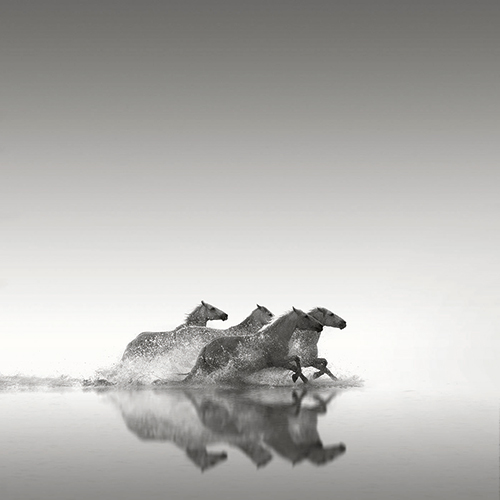 Image credit: Jonathan Critchley