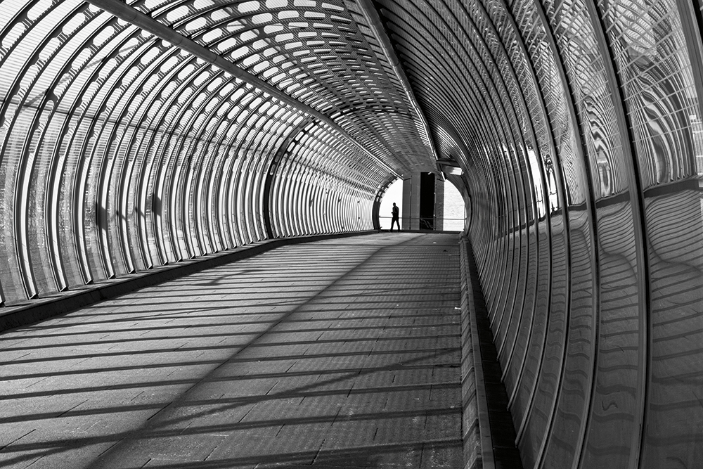 linda wisdom tunnel