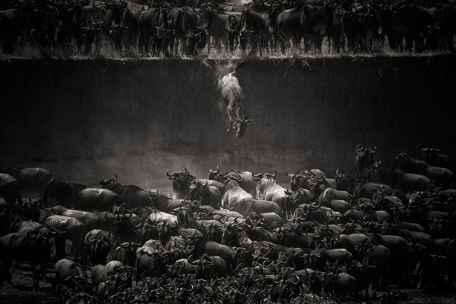 Image credit: Nicole Cambre/tpoty.com