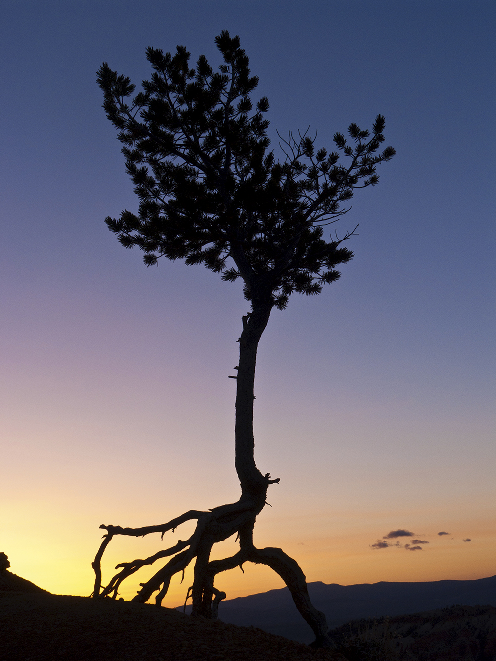 tom dempsey silhouettes bryce canyon