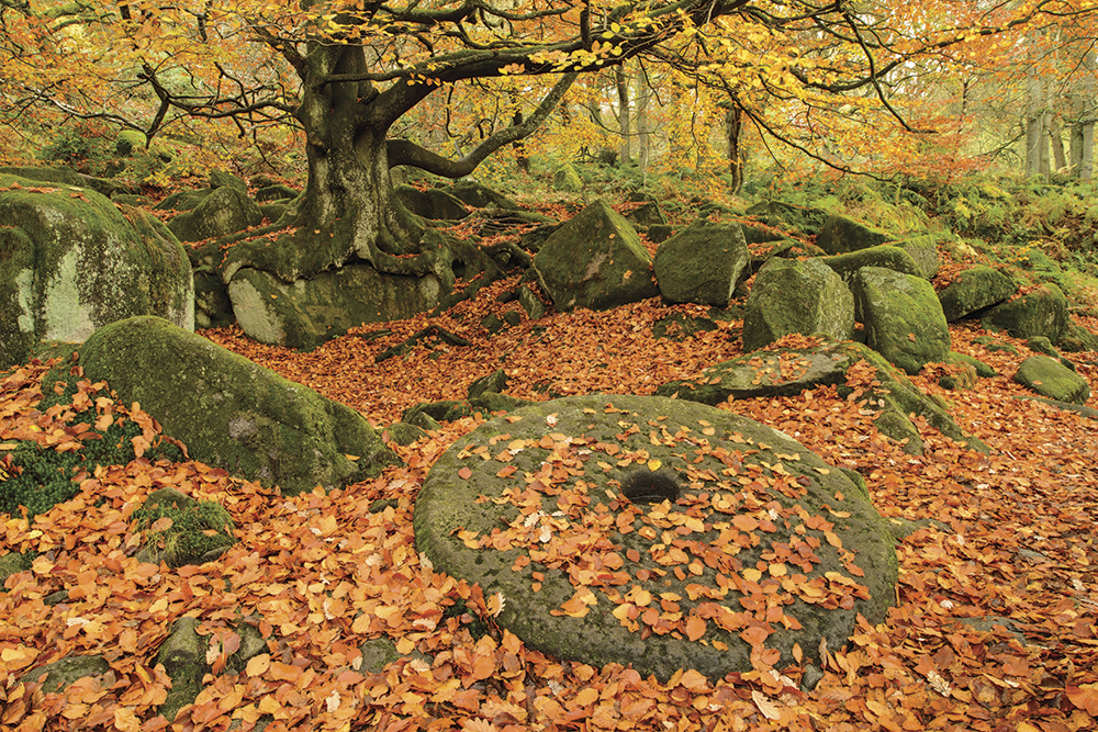 andrew mason padley gorge millstones