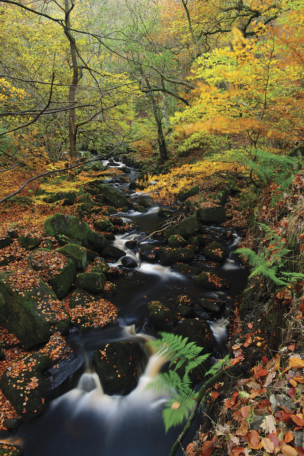andrew mason rocky cascades