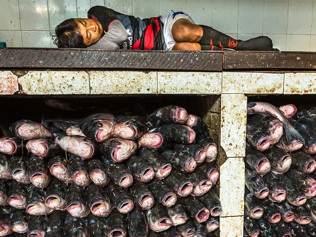 The 16-35mm is great for tight interior shots, as we can see in this fish-market scene. Image by Sue O'Connell
