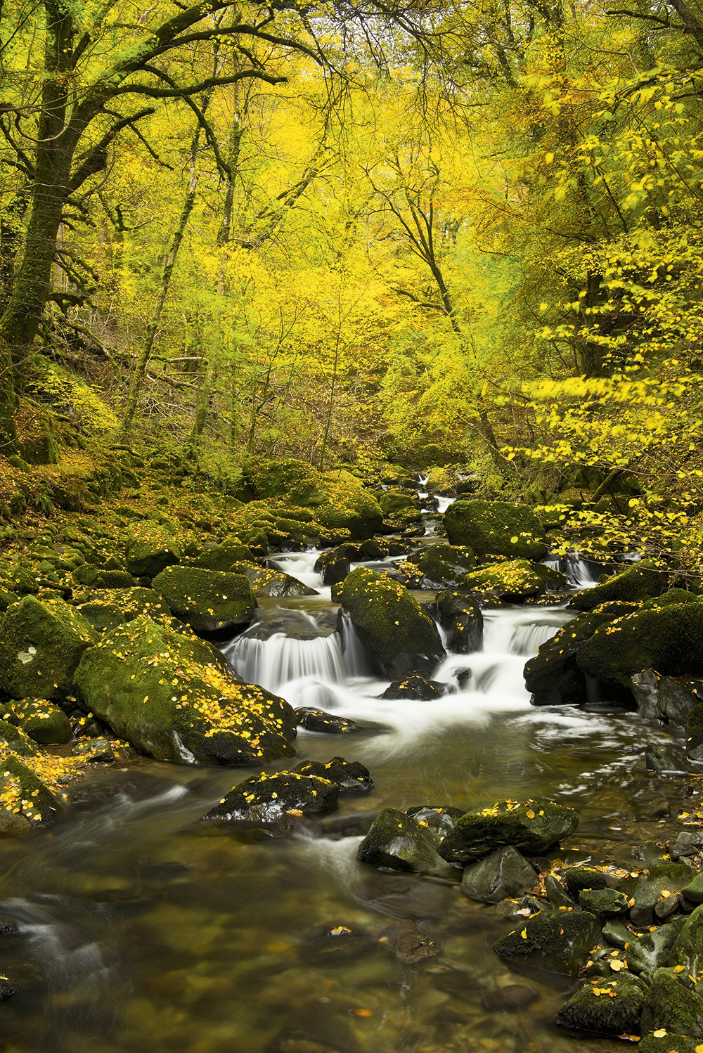 Jeremy Walker Afon Clywedog