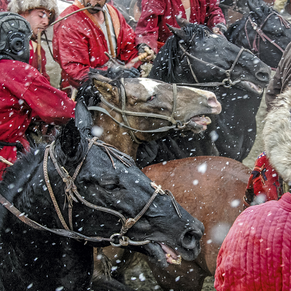 richard dunwoody buzkashi match