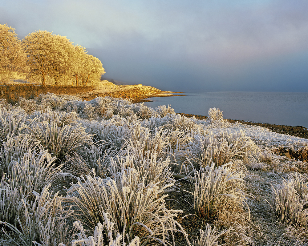 Ian Cameron Caramel Ice