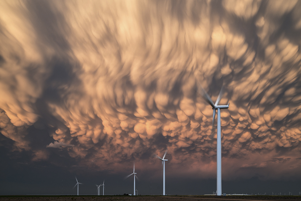Terry Koyama Mammatus Makers