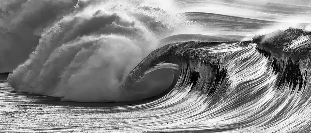 Terry Koyama Waimea Bay Beast