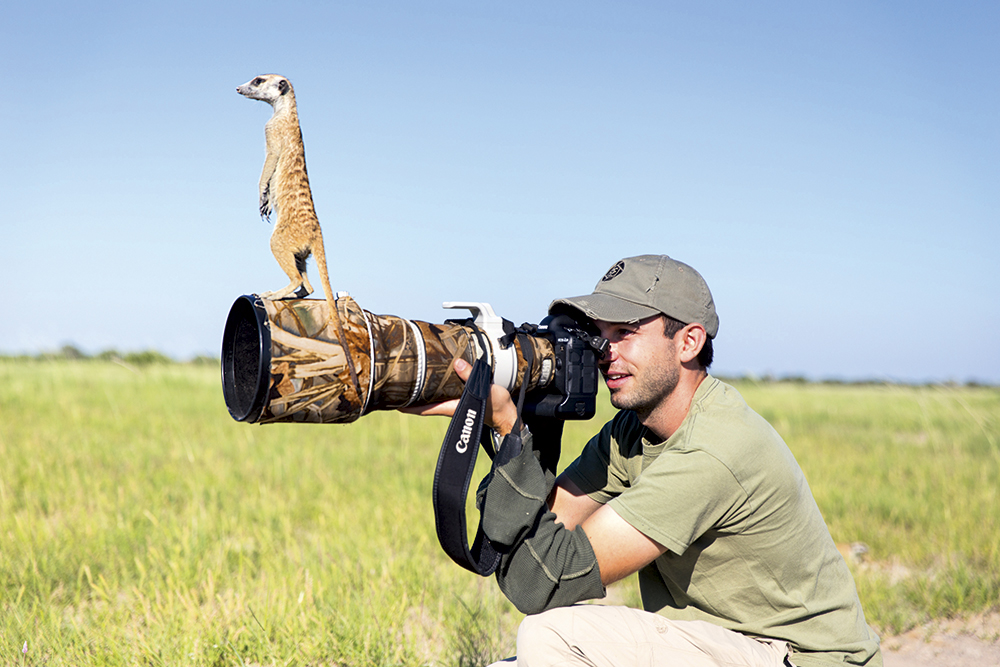 Will Burrard-Lucas meerkat