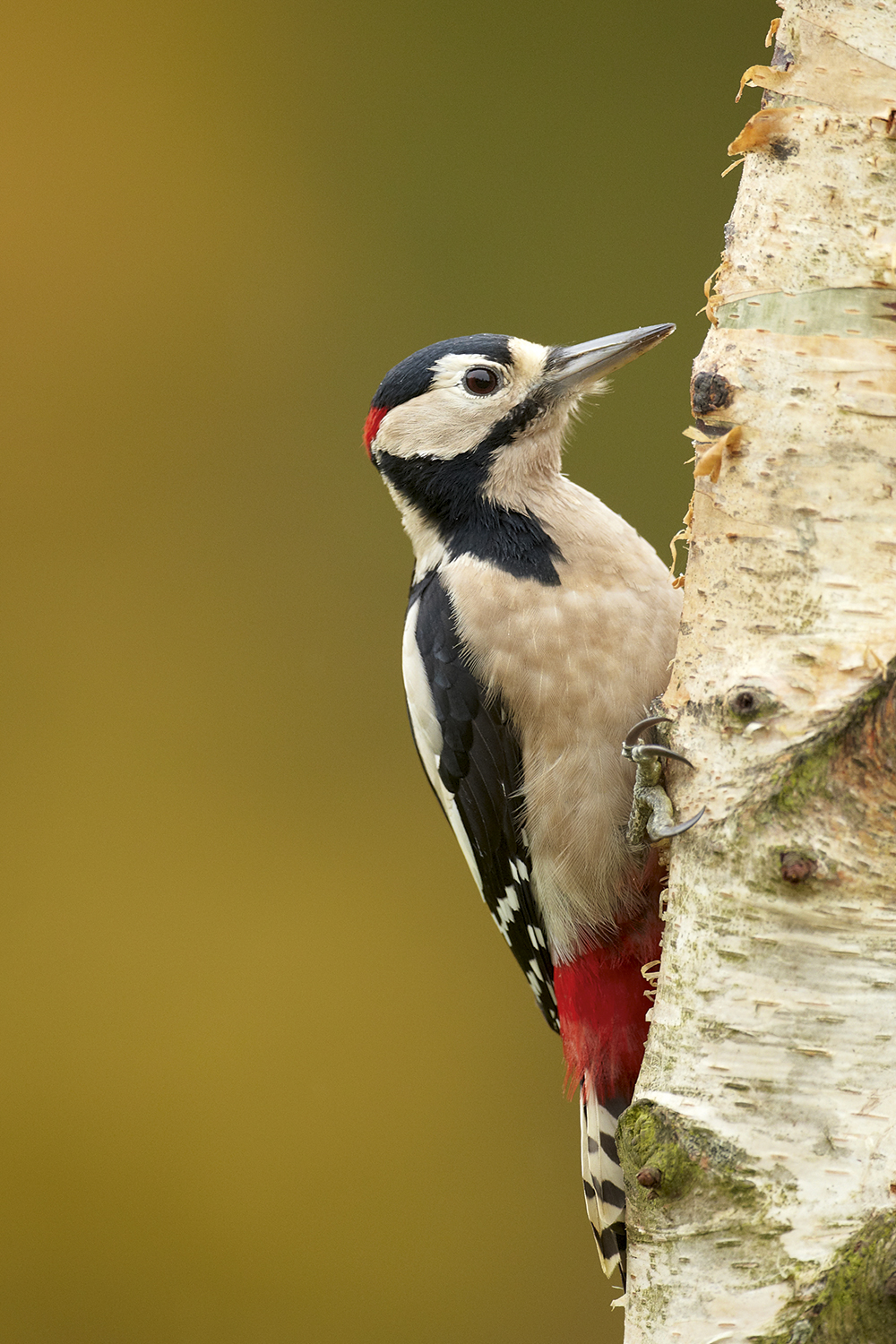 Tip 2 Use a warm white balance in the winter sun