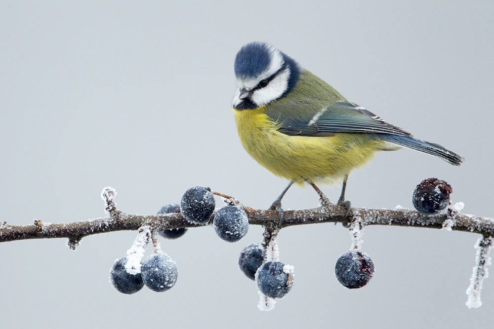 Tip 4 Use the clarity slider