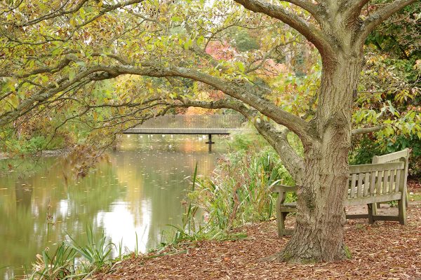 Pentax K-70 sample image