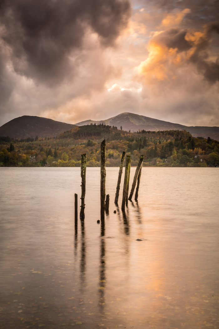 Image: Matthew Cattell