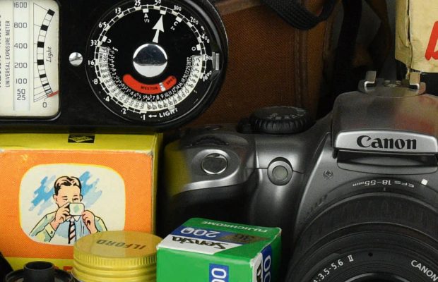 Nikon D500 - Diorama - ISO 1600