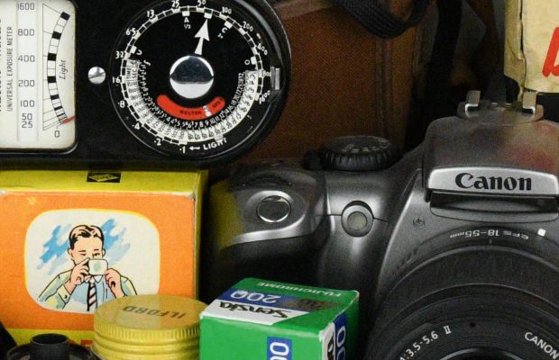 Nikon D500 - Diorama - ISO 6400