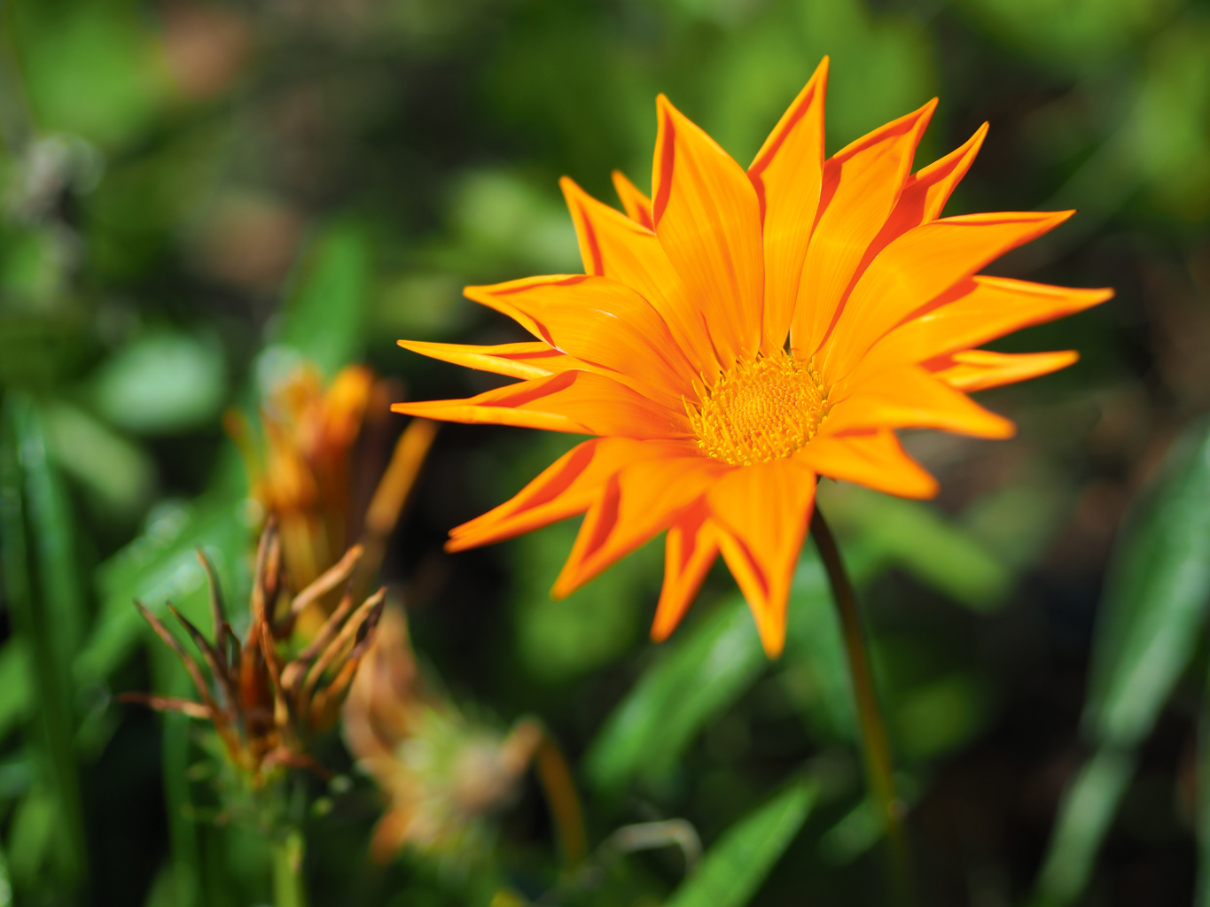 Olympus O-MD E-M10 II review sample image