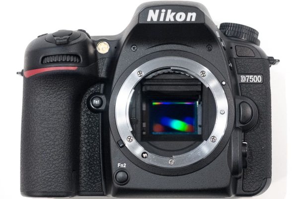 D7500 vs Nikon D500