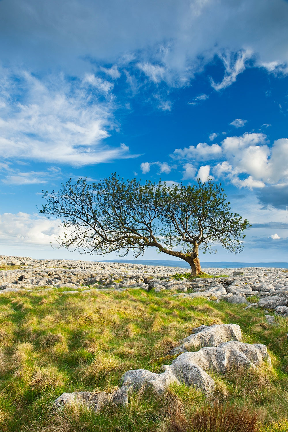 Twisleton Scar End limestone pavement low angle