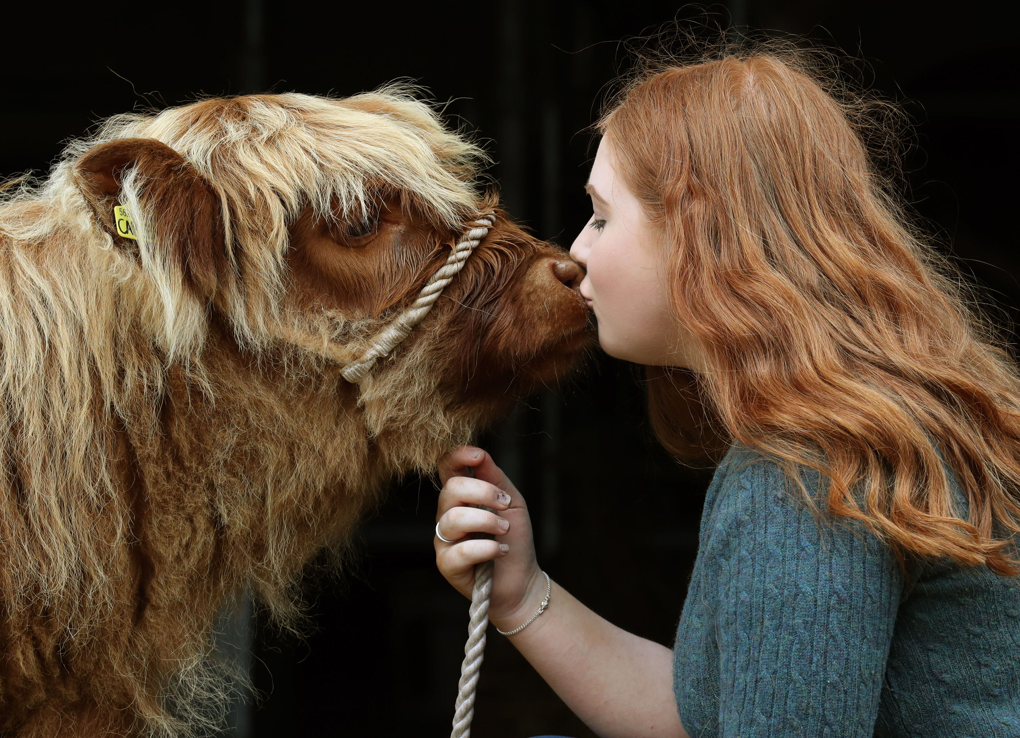 Top Press Photography Images of the Week