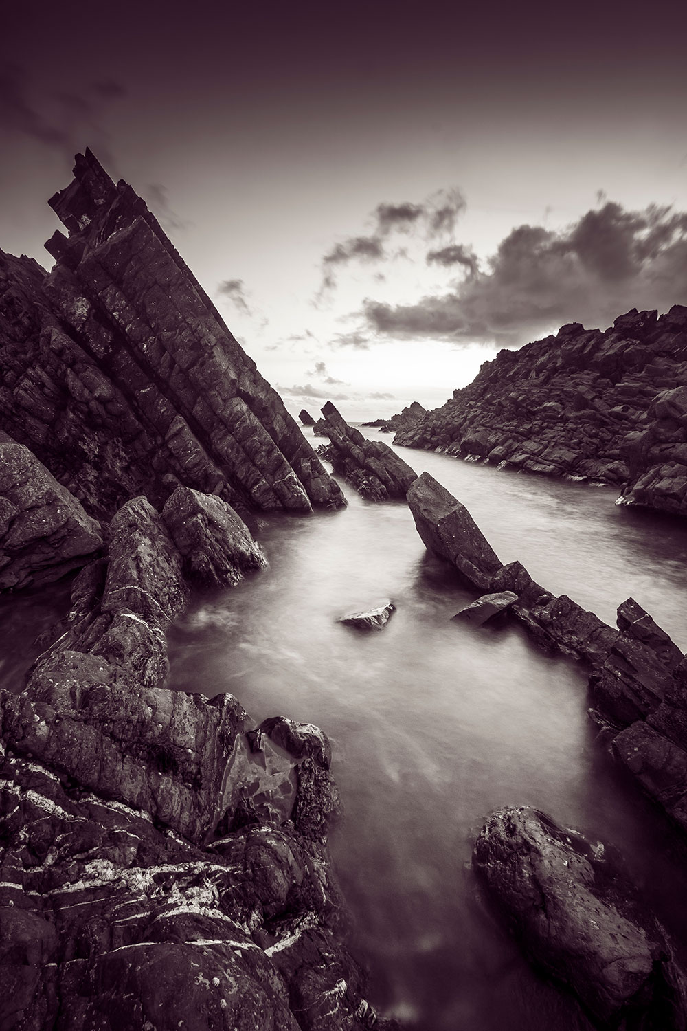 Tips for toning black and white photos