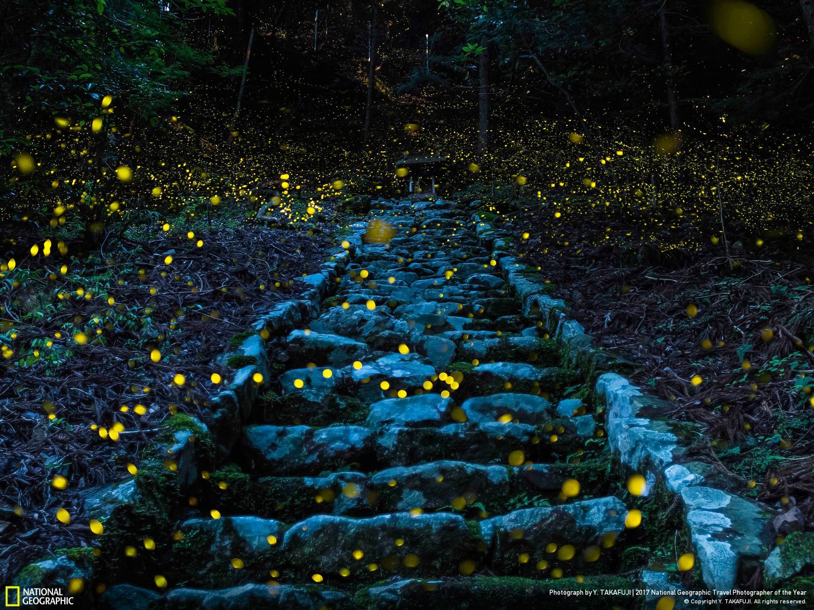 National Geographic Travel Photographer of the Year