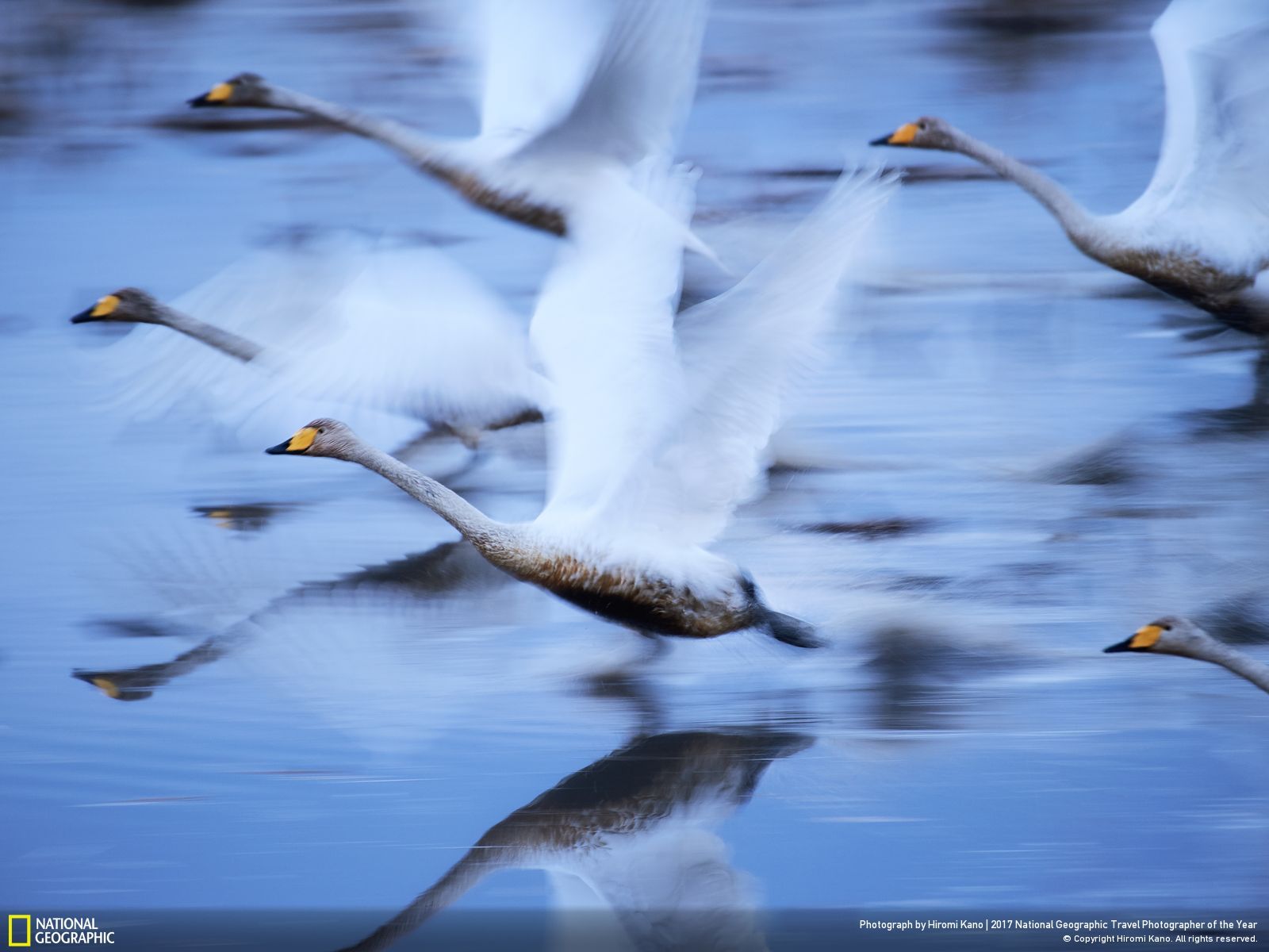 National Geographic Travel Photographer of the Year