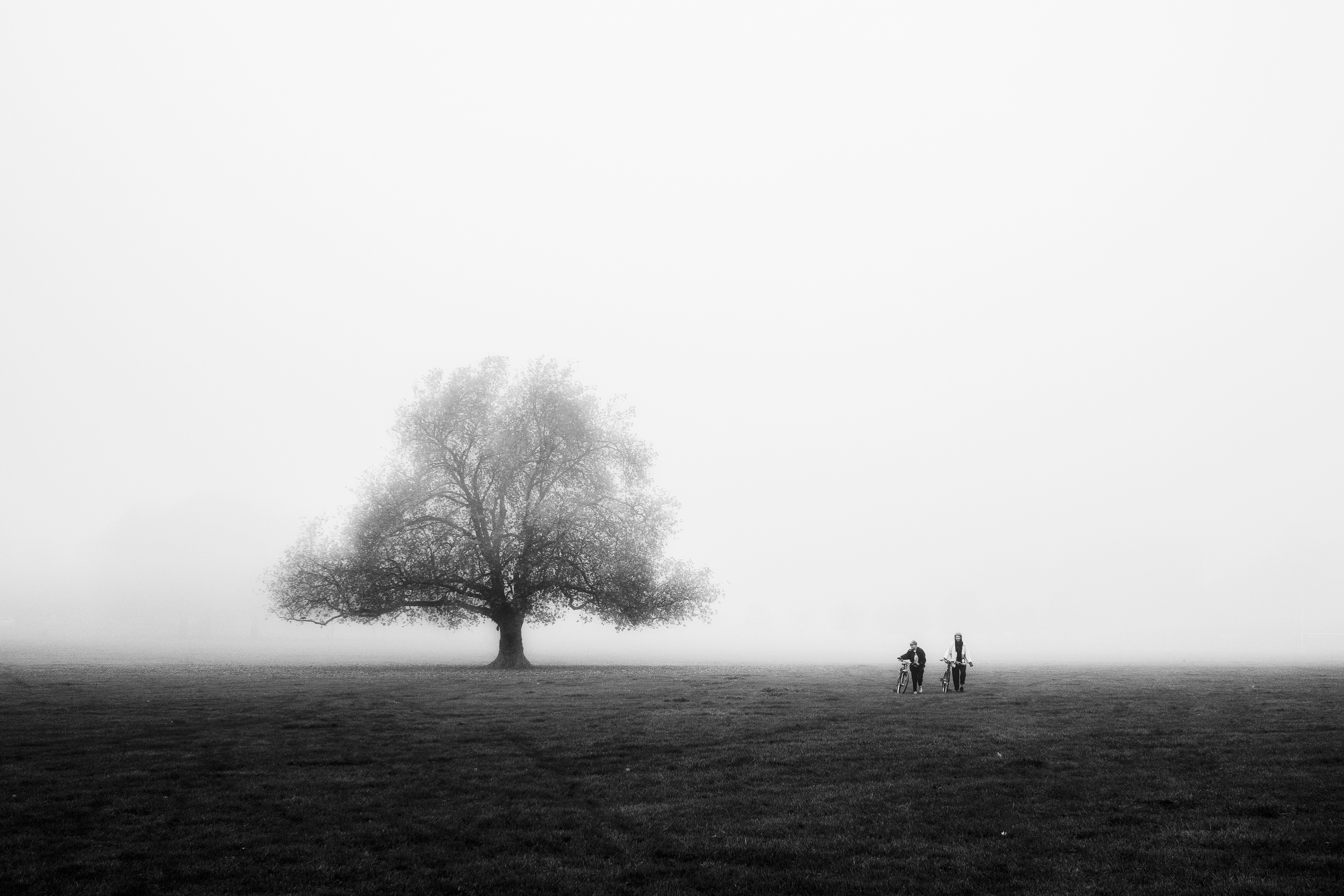 Craig Reilly