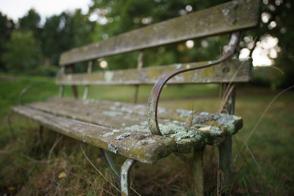 Zeiss Milvus 25mm f/1.4 shallow depth of field sample