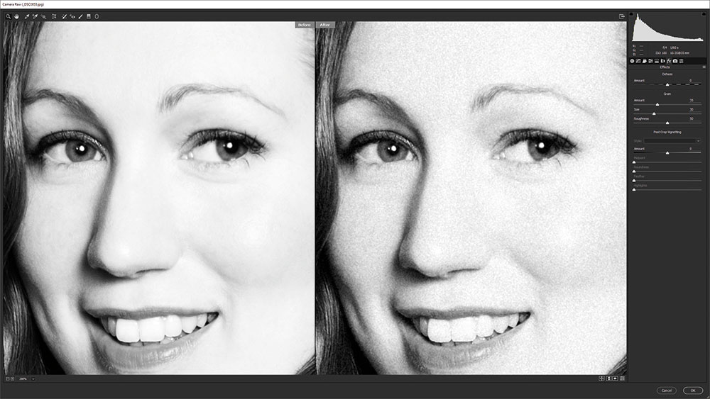 ISO power tips Mimic noise in Photoshop Adobe Camera Raw Filter