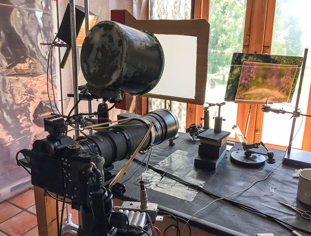 My Wood Behind the scenes