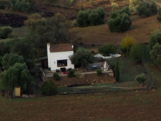 100% crop from 50MP output