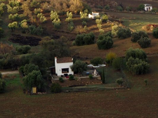 100% crop from 25MP output