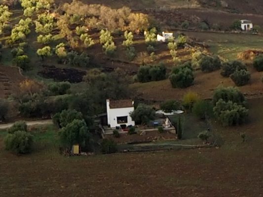 100% crop from standard single-shot 20MP output