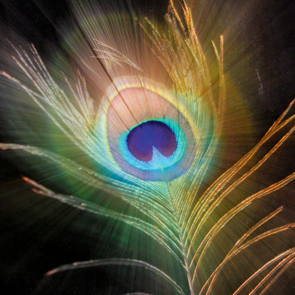 Shoot a zoom burst