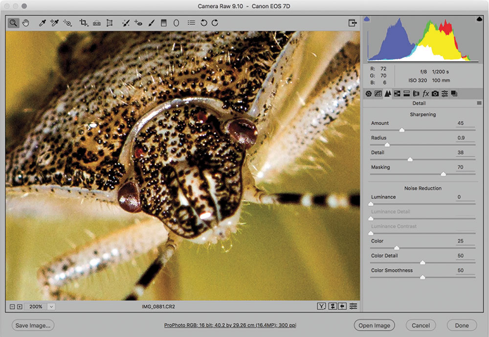 Photo editing tips How to optimise sharpness Amateur Photographer