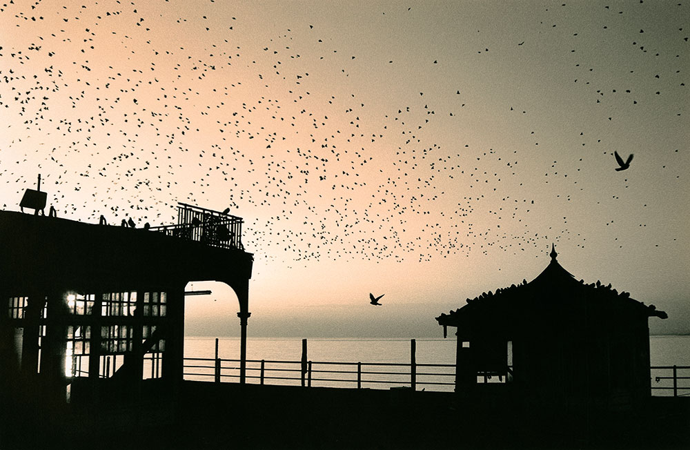 toning The Old West pier Brighton