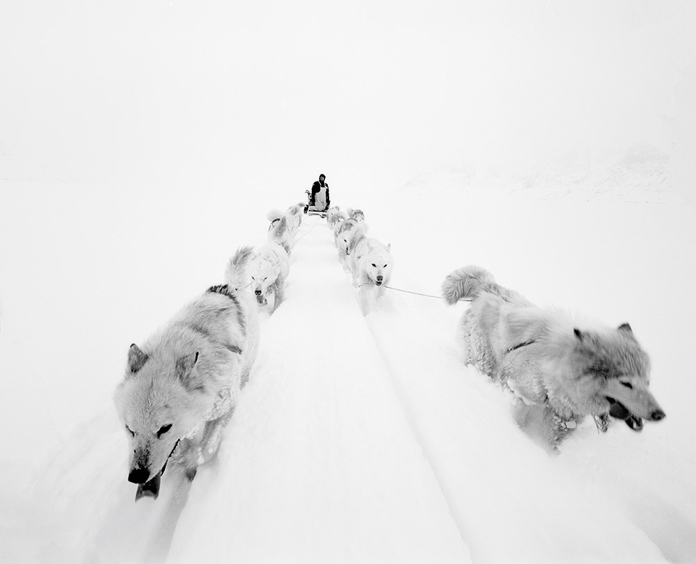 Paolo Solari Bozzi Dogs Sermilik Fjord