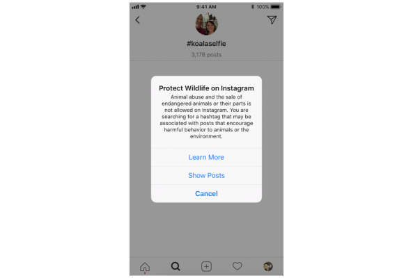 instagram