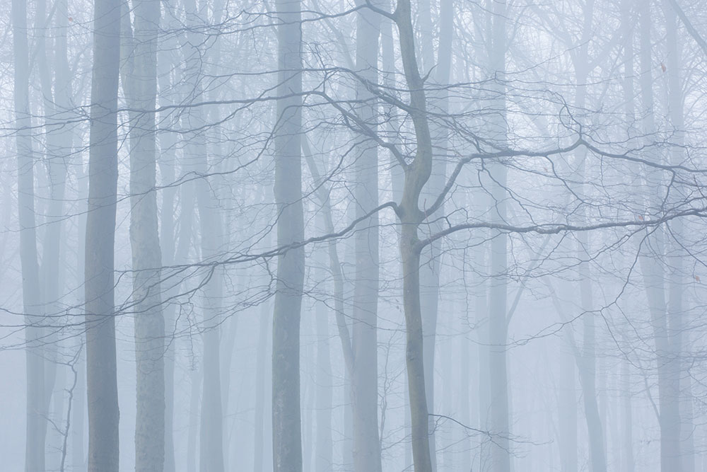 Tony Worobiec landscapes embrace the weather
