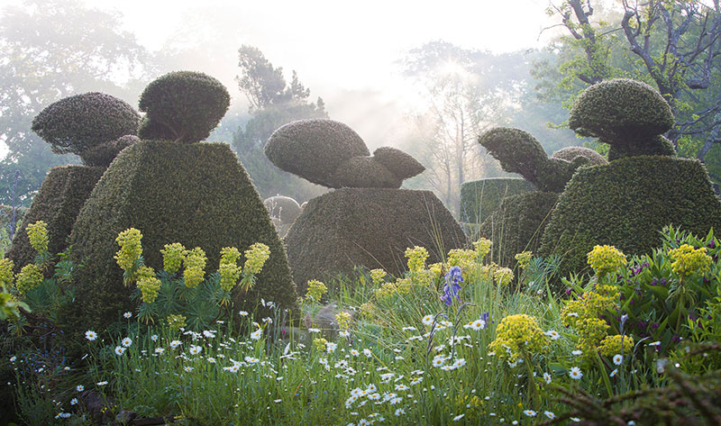 Gardens create layered images