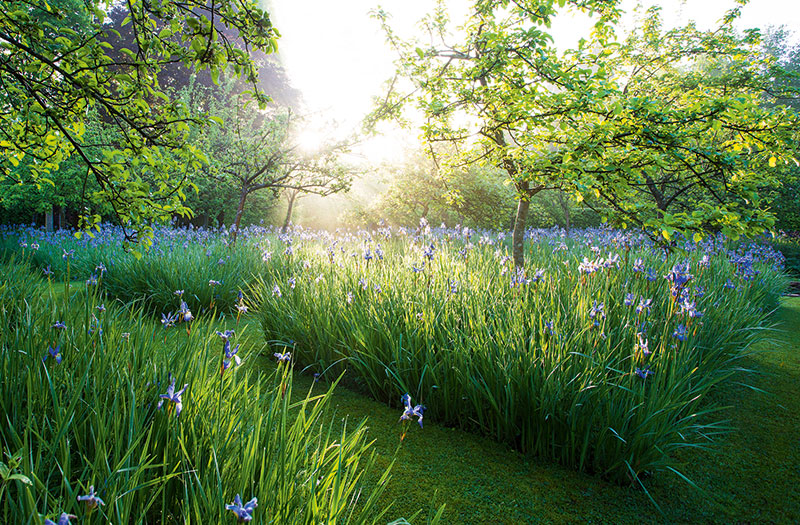 Gardens timing is everything
