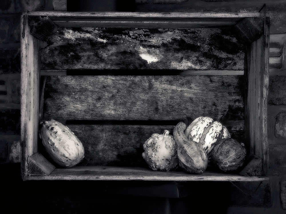 Ugly fruit