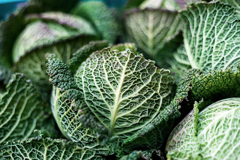 food photography details
