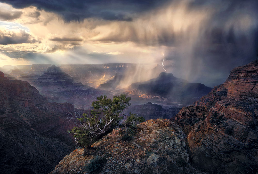Masters of Landscape Photography Fearless